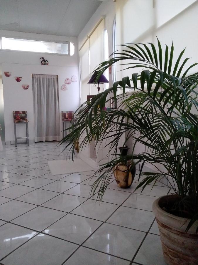 Boutique Basic Hotel Puerto Vallarta Exterior photo