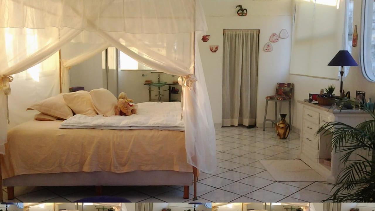 Boutique Basic Hotel Puerto Vallarta Exterior photo