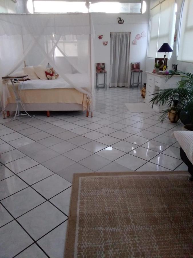 Boutique Basic Hotel Puerto Vallarta Exterior photo